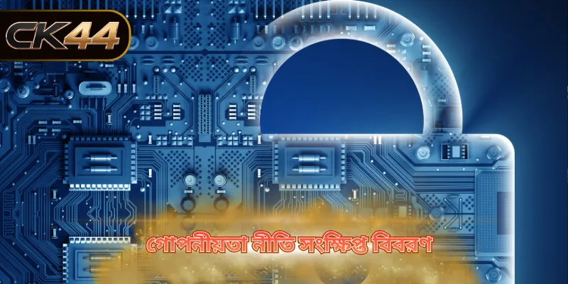 গোপনীয়তা নীতি সংক্ষিপ্ত বিবরণ